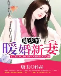陸少的暖婚新妻