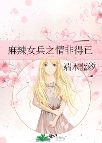 麻辣女兵之情非得已