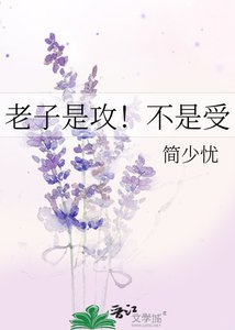 老子是攻!不是受