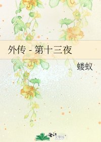 外傳 - 第十三夜